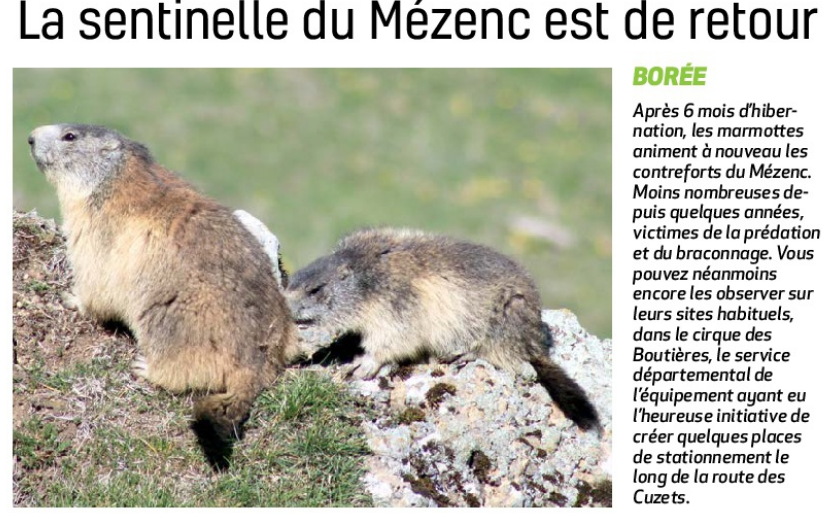 Explorons des Donjons avec les marmots ! – Plateau Marmots